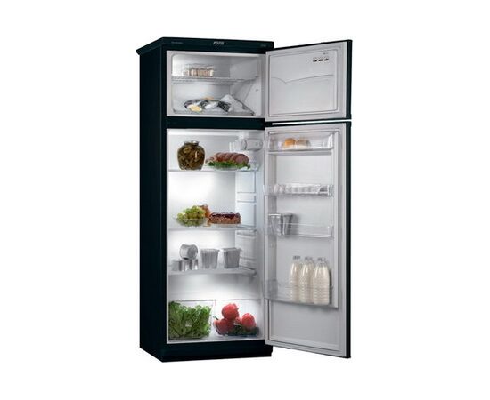  Холодильник POZIS Мир-244-1 графитовый (067IV) 