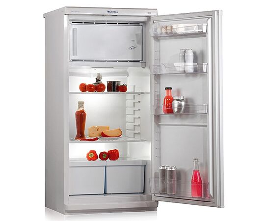  Холодильник POZIS Свияга-404-1 серебристый (078YV) 